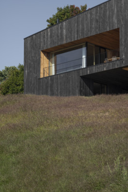 Das schwarze Haus am Hang, Fassade Detail Manuel Theodor Kreuzer Photography