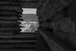 Manuel Theodor Kreuzer Architekturfotograf: Haltestelle Unterkrumbach Nord Manuel Theodor Kreuzer Photography