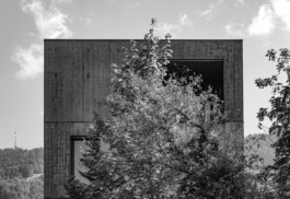 Manuel Theodor Kreuzer Architekturfotograf: Bürohaus Bernardo Bader Bregenz Manuel Theodor Kreuzer Photography