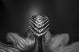 Manuel Theodor Kreuzer Architekturfotograf: Galerie am Stein Manuel Theodor Kreuzer Photography