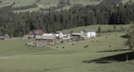 Manuel Theodor Kreuzer Architekturfotograf: Kapelle Salgenreute Manuel Theodor Kreuzer Photography