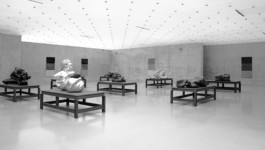 Manuel Theodor Kreuzer Architekturfotograf: Kunsthaus Bregenz Manuel Theodor Kreuzer Photography