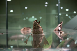  Manuel Theodor Kreuzer Photography