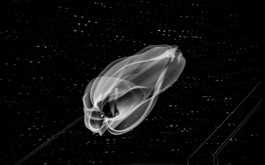  Manuel Theodor Kreuzer Photography