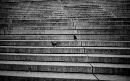  Manuel Theodor Kreuzer Photography