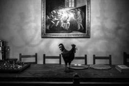  Manuel Theodor Kreuzer Photography