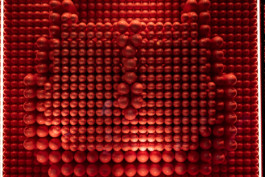  Manuel Theodor Kreuzer Photography