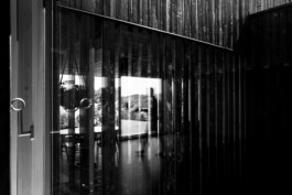  Manuel Theodor Kreuzer Photography