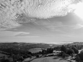 Manuel Theodor Kreuzer Photography