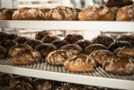  Manuel Theodor Kreuzer Photography