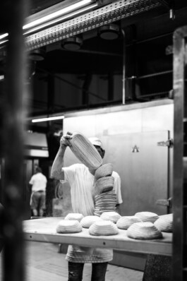  Manuel Theodor Kreuzer Photography