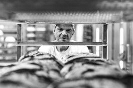  Manuel Theodor Kreuzer Photography