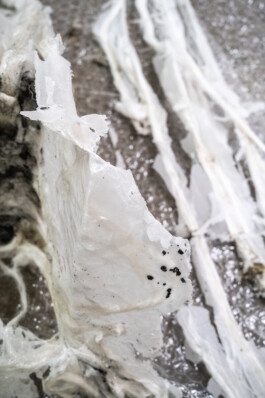  Manuel Theodor Kreuzer Photography