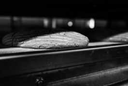  Manuel Theodor Kreuzer Photography