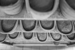  Manuel Theodor Kreuzer Photography