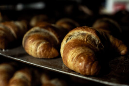  Manuel Theodor Kreuzer Photography