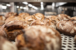  Manuel Theodor Kreuzer Photography