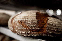  Manuel Theodor Kreuzer Photography