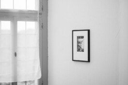  Manuel Theodor Kreuzer Photography