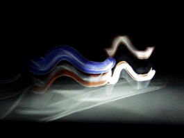  Manuel Theodor Kreuzer Photography