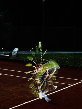  Manuel Theodor Kreuzer Photography