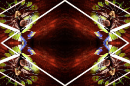  Manuel Theodor Kreuzer Photography