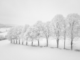  Manuel Theodor Kreuzer Photography